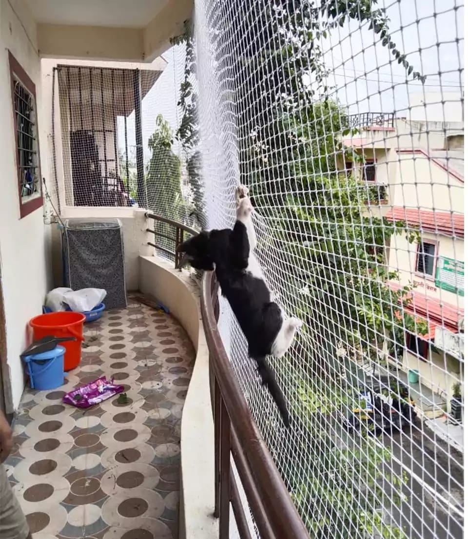 Children safety net on staircase
